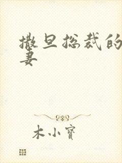 撒旦总裁的下堂妻