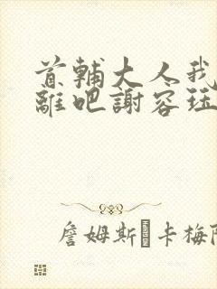 首辅大人我们和离吧谢容珏