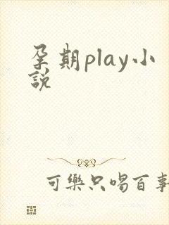 孕期play小说