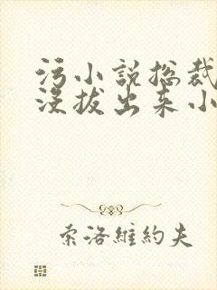 污小说总裁整夜没拔出来小说在线阅读