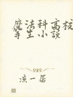 魔法科高校的劣等生小说