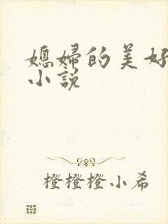 媳妇的美好时代小说