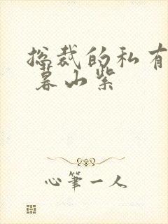 总裁的私有宝贝 暮山紫