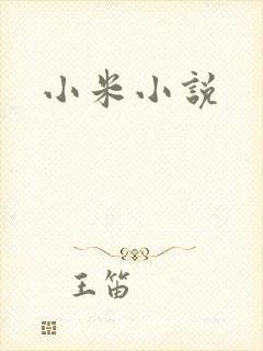 小米小说