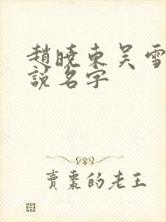 赵晓东吴雪晴小说名字