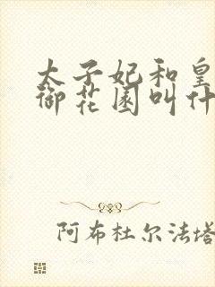 太子妃和皇帝在御花园叫什么小说