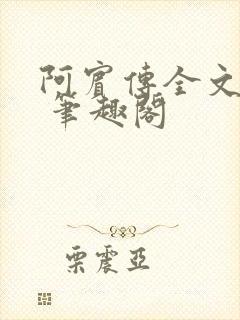 阿宾传全文阅读 笔趣阁