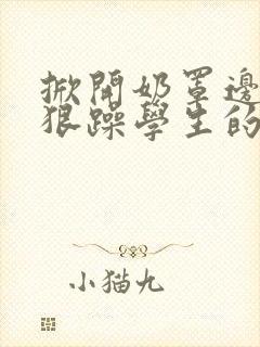 掀开奶罩边躁狠狠躁学生的小文字