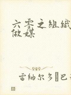 六零之组织给我做媒