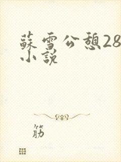 苏雪公憩28篇小说