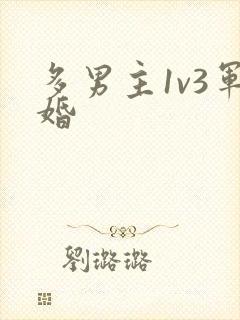 多男主1v3军婚
