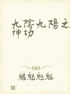九阴九阳之阴阳神功
