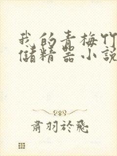 我的青梅竹马是储精器小说