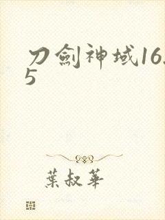 刀剑神域16.5