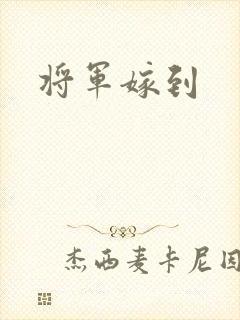 将军嫁到