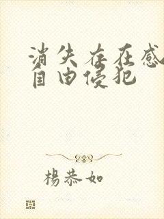 消失存在感消失自由侵犯