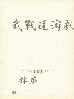 武战道游戏