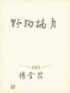 野狗摘月