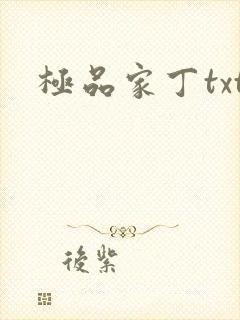 极品家丁txt