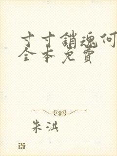 寸寸销魂何生祥全本免费