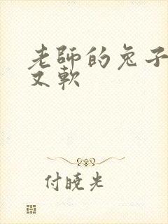 老师的兔子又大又软