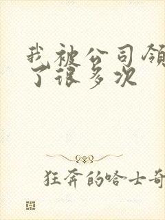 我被公司领导C了很多次