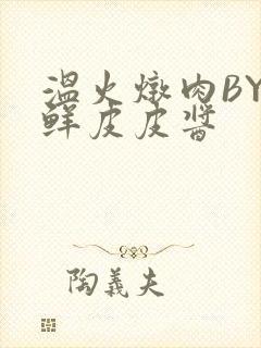 温火炖肉BY海鲜皮皮酱