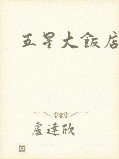 五星大饭店小说