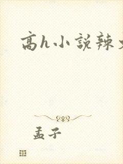高h小说辣文