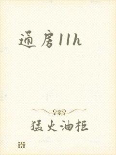 通房11h
