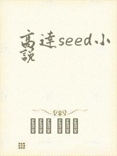 高达seed小说
