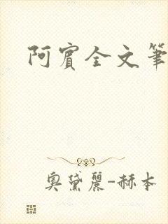阿宾全文笔趣阁