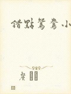 错点鸳鸯小说
