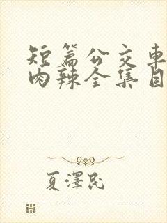 短篇公交车高h肉辣全集目录