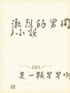 激烈的男同(h)小说