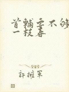 首辅要不够po一枝春