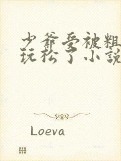 少爷受被粗汉H玩松了小说