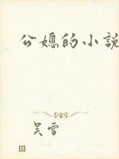 公媳的小说