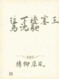 往下边塞玉器骑马沈驰