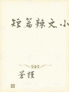 短篇辣文小说