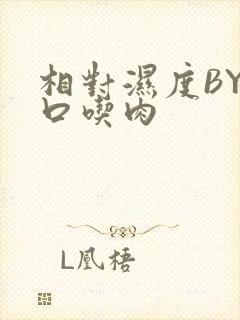 相对湿度BY大口吃肉