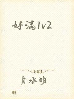 好满1v2