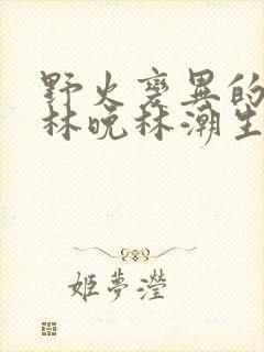野火变异的父爱林晚林潮生