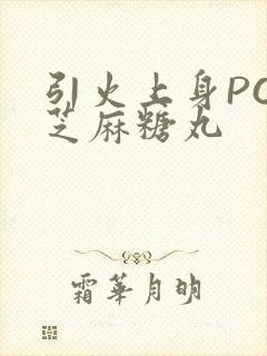 引火上身POP芝麻糖丸