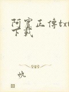 阿宾正传txt下载