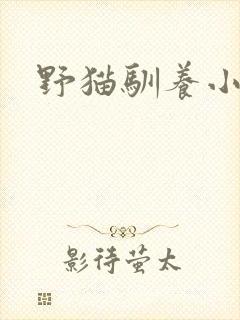 野猫驯养小说