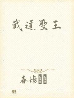 武道圣王