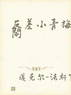 反差小青梅笔趣阁