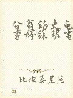 公翁的大龟挺进秀婷苏玥电影