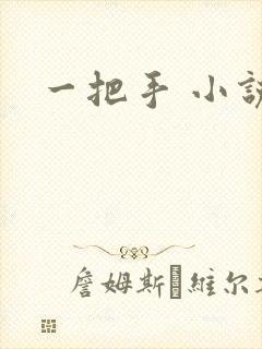 一把手 小说